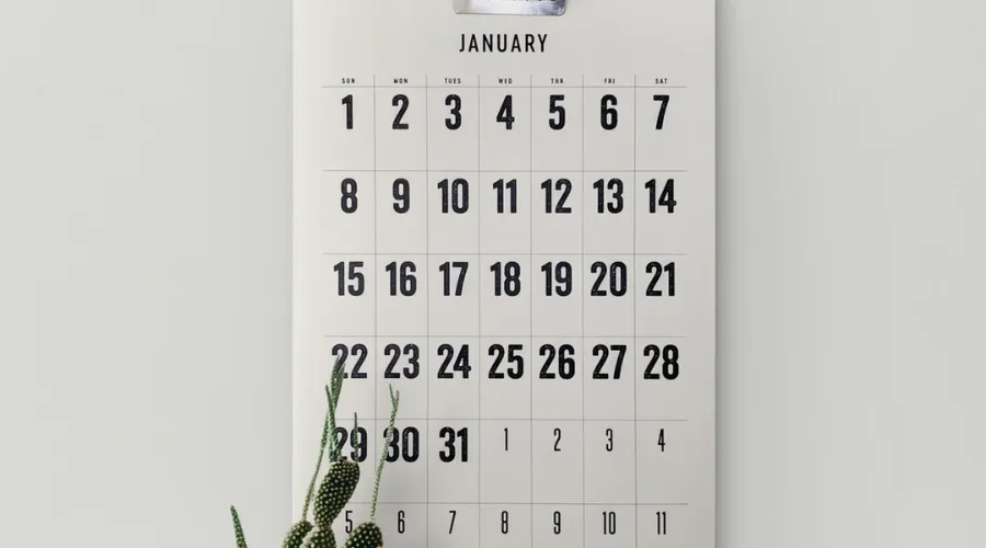 Adubon desert wildflowers wall calendar 2024