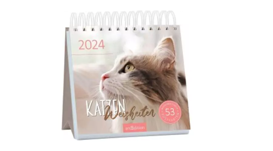 Postcard Calendar Cat Wisdom 2024