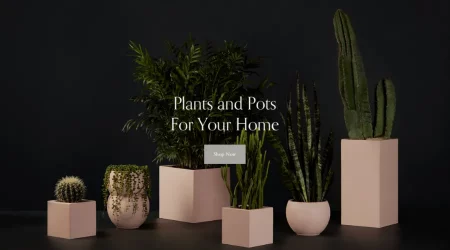 5 Online Store Templates That Will Help You Start Selling Today