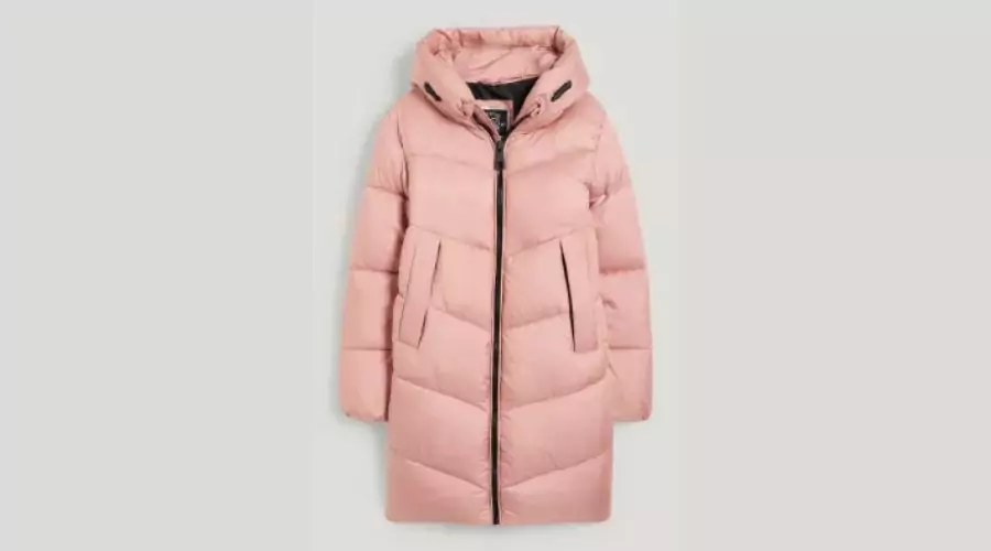 Quilted Jacket with Hood