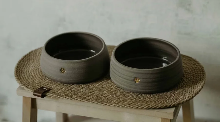 Ceramic dog bowls set with Jute pet rug