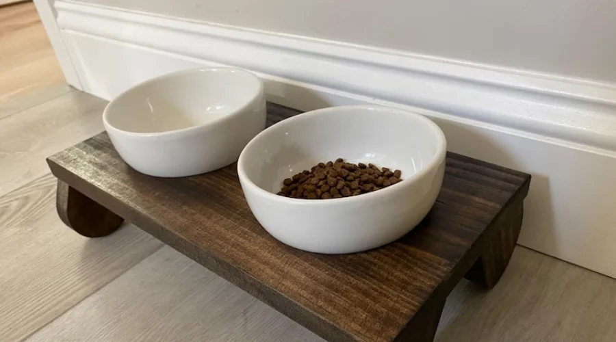 Raised Porcelain Pet Bowl with Wooden Stand