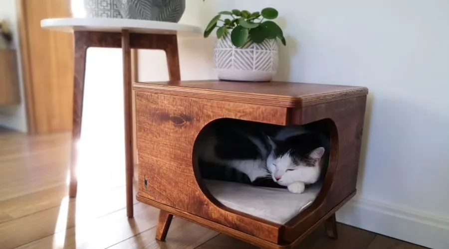 Stylish Plywood Cat House