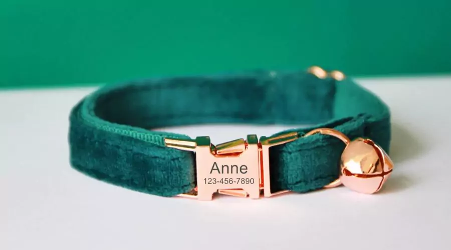 Emerald Velvet Personalized Cat & Small Dog Collar Bowtie Leash Set