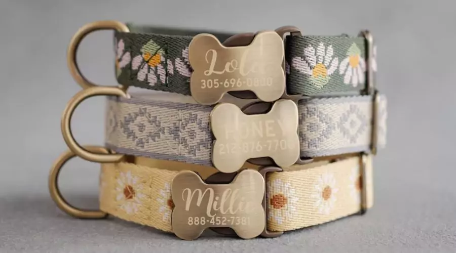 Webbing dog collar Personalized Collar for dogs 