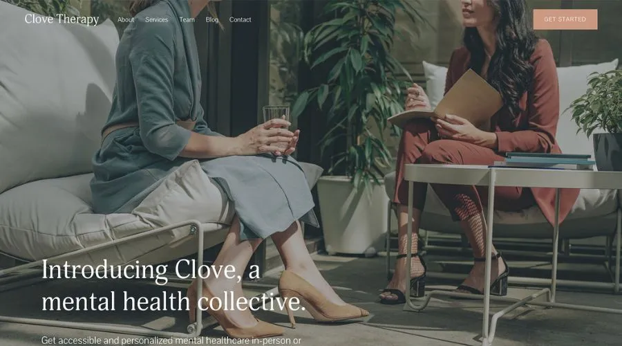 Clove: Best For Mental Health Professionals