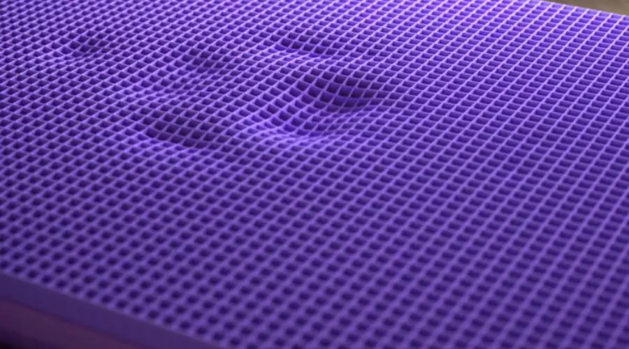 Innovation at its Core: The Purple Grid Technology