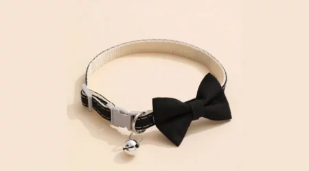 Make Your Furry Friend Look Stylish With The Best Collar Bow Ties For Dogs.