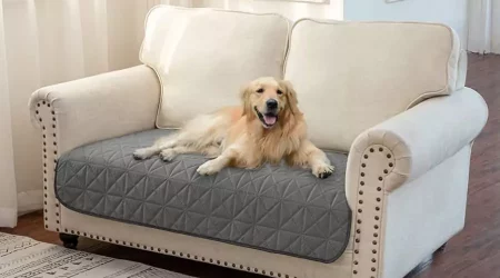Unleash Chic And Practical Couch Covers For Dogs Optimal Protection!