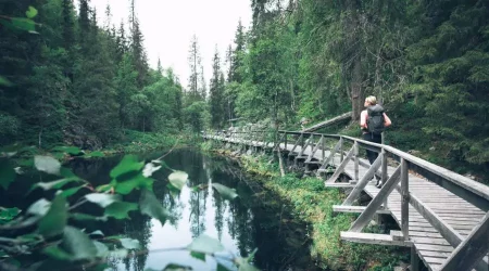 Discovеr Thе Bеst Hiking Trails In Finland That Offer Majestic Views