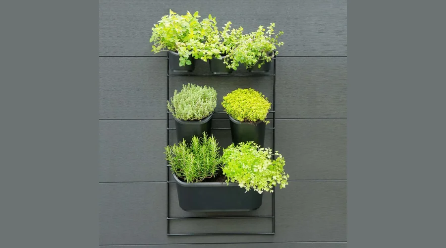 Enchant Your Senses with the Nature Vertical Garden Wall Kit
