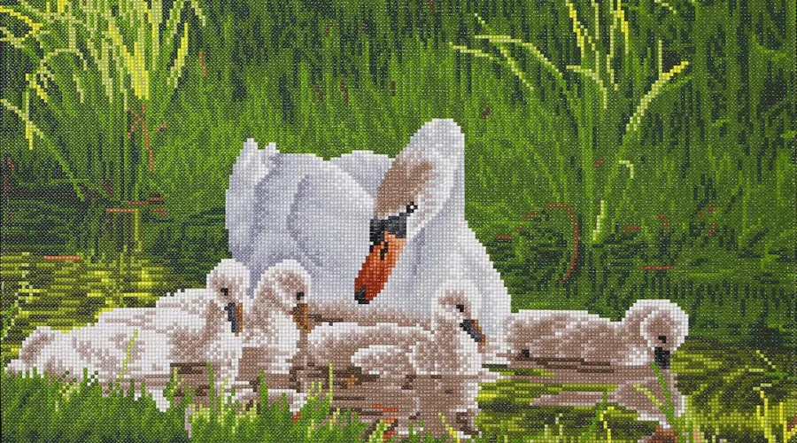 Paint Your Heart Out