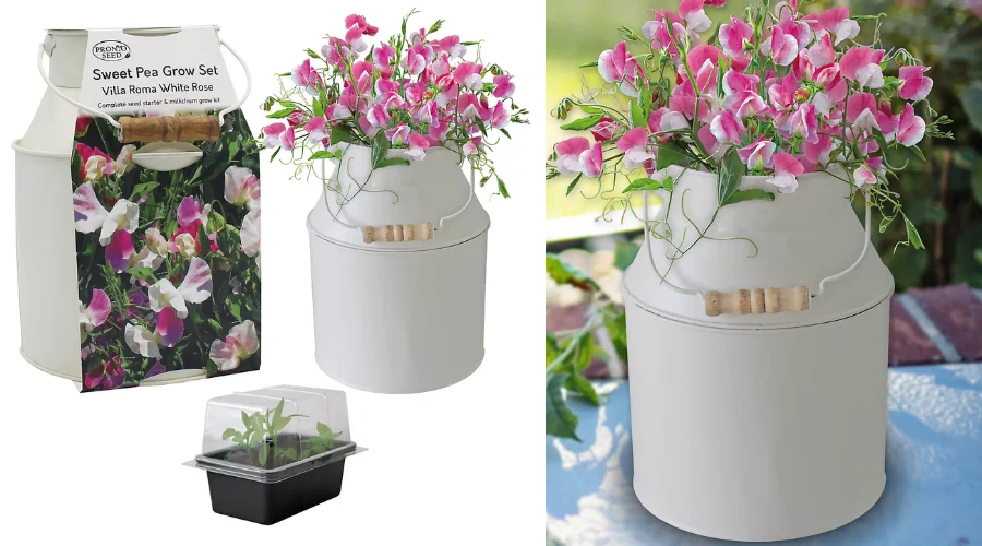 Personalised Plant Pot