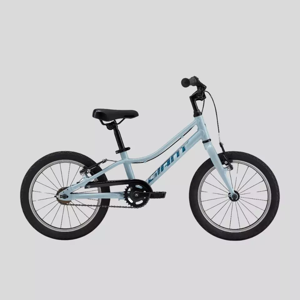 Little Riders, Big Adventures: Best Kids' Bikes for Young Explorers