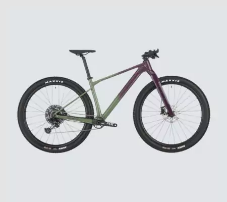 Top Gravel Bike Picks for Performance & Versatility
